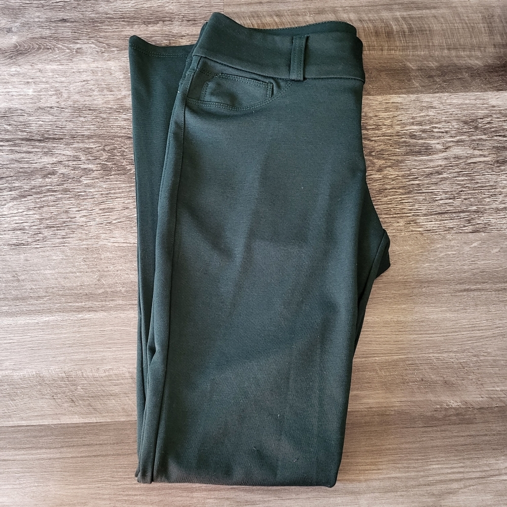 Canyon River Blues Green Pants - Rarely Worn